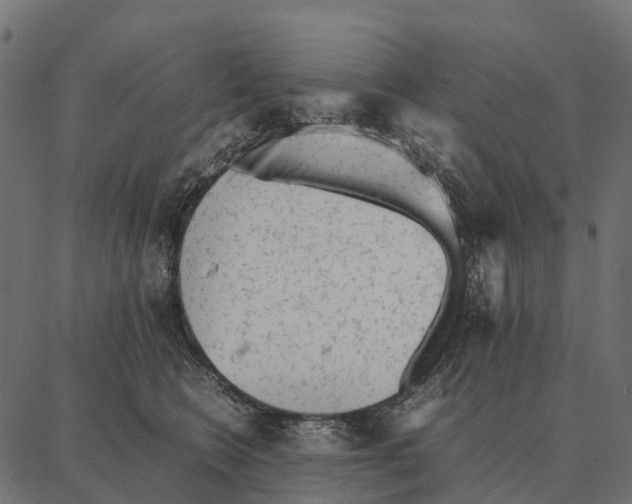 X0000087320566200705181014