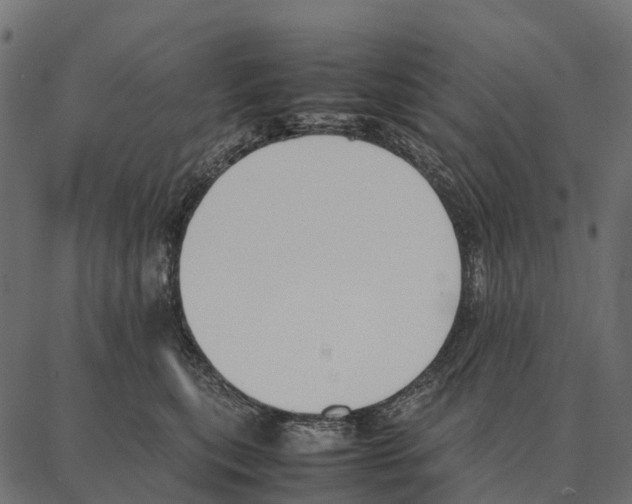 X0000087320567200705181014