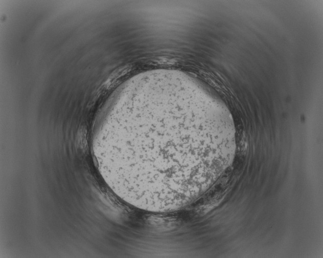 X0000087320568200705181014