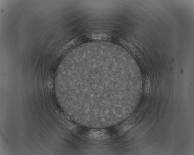 X0000087320569200705181014