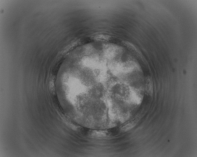 X0000087320573200705181014