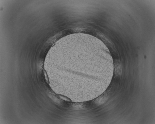 X0000087320574200705181014