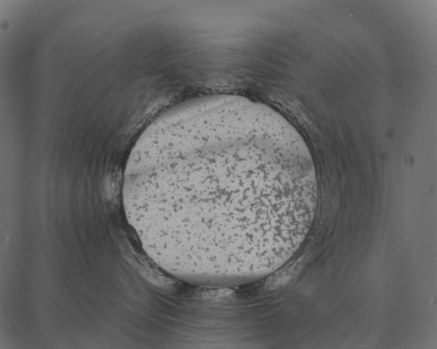 X0000087320576200705181014