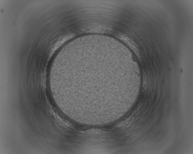 X0000087320578200705181013