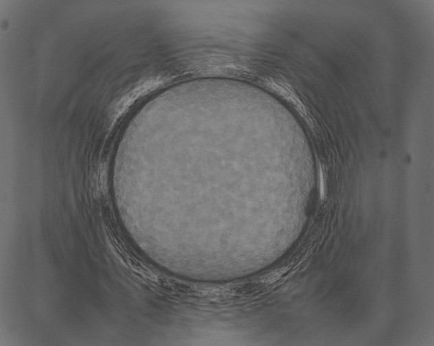 X0000087320579200705181013