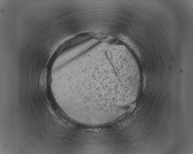 X0000087320580200705181013