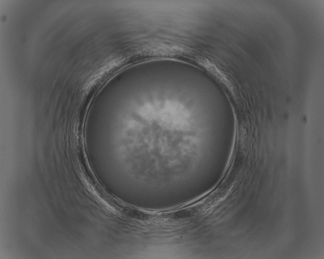 X0000087320581200705181013