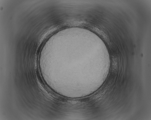 X0000087320582200705181013