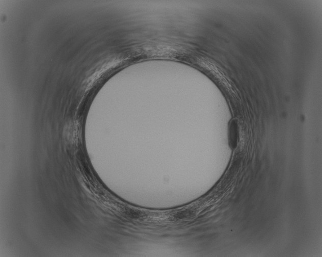 X0000087320583200705181013