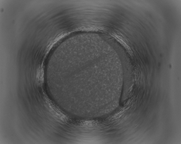 X0000087320584200705181013