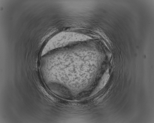 X0000087320585200705181013