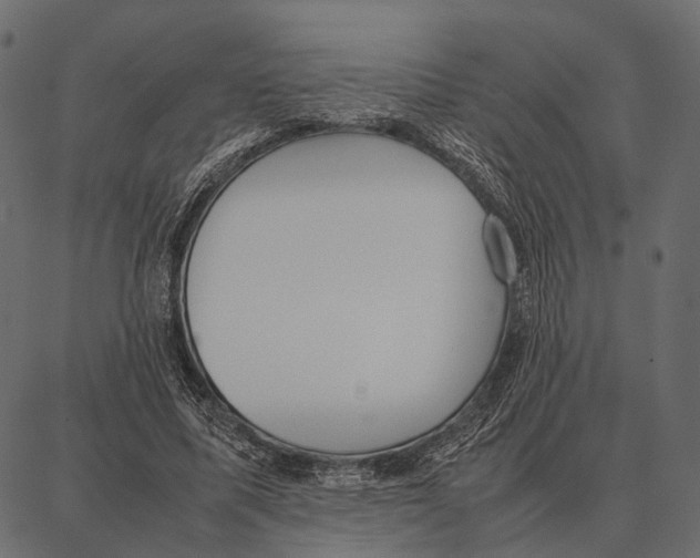 X0000087320587200705181013