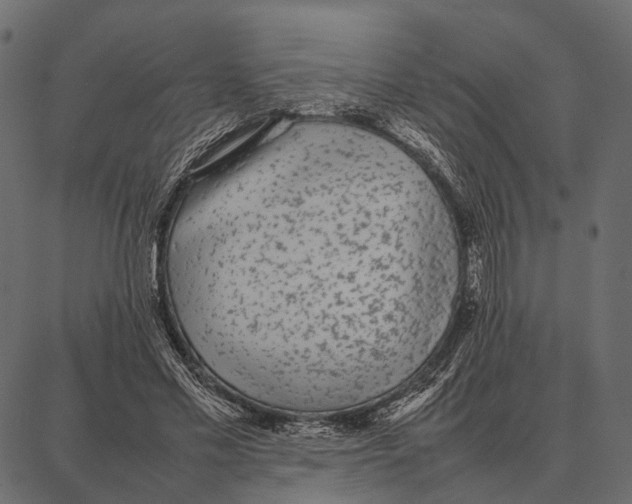 X0000087320589200705181013