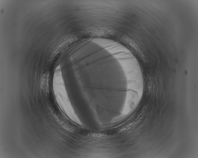 X0000087320590200705181013