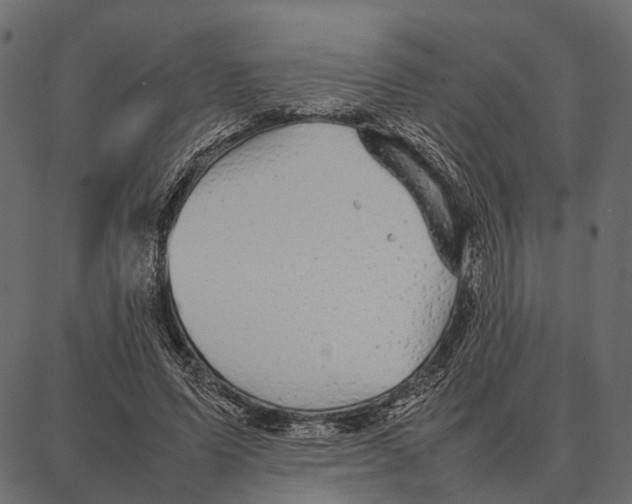 X0000087320591200705181013