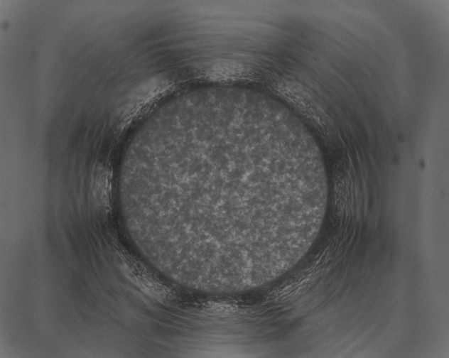 X0000087320592200705181013