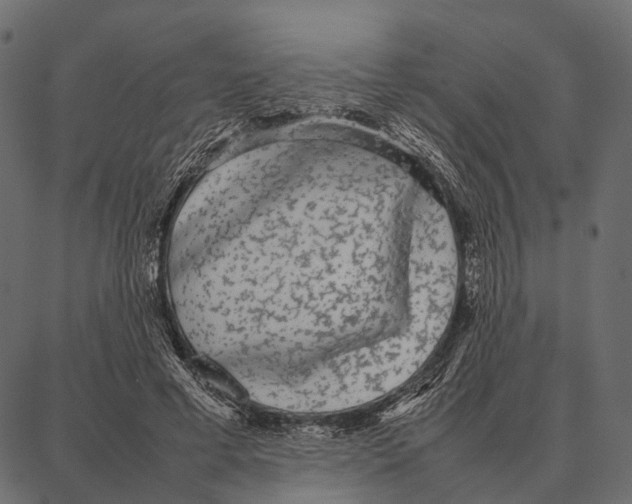 X0000087320593200705181013