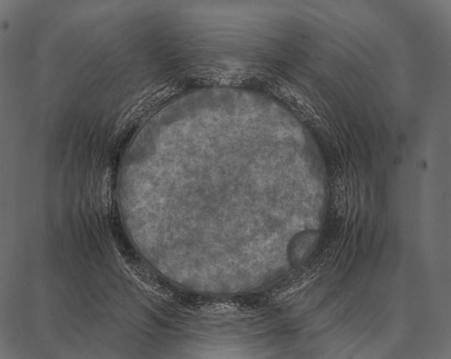 X0000087320594200705181013