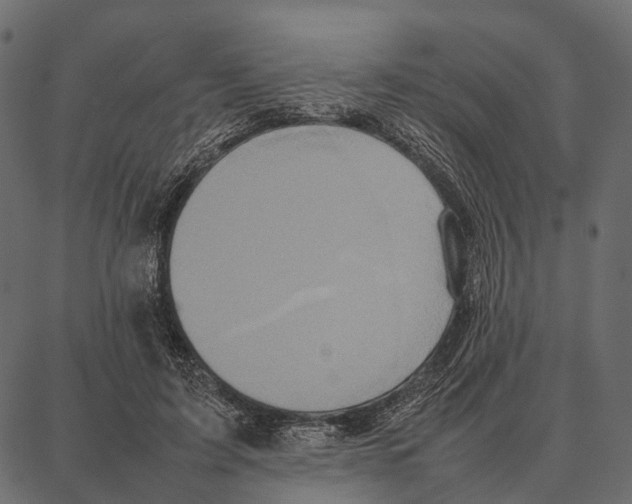 X0000087320595200705181013