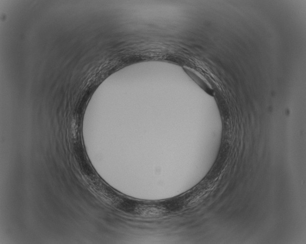 X0000087320597200705181013