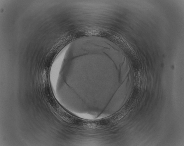 X0000087320598200705181013