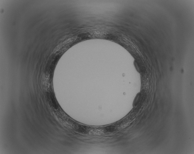 X0000087320599200705181013