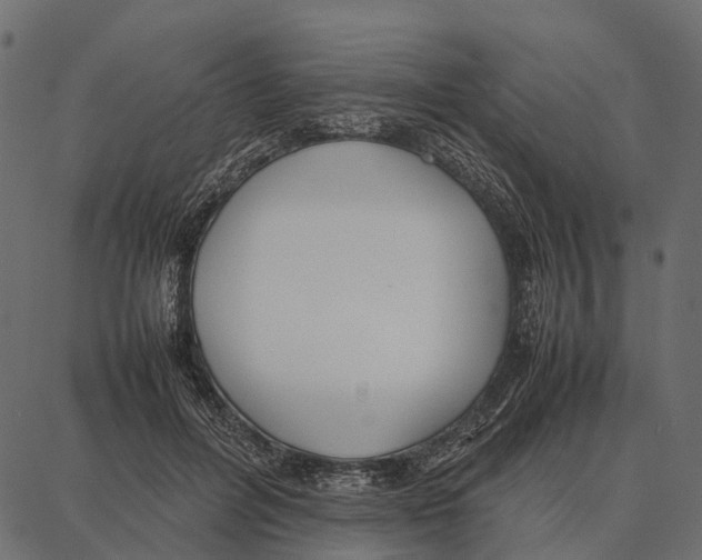 X0000087320600200705181013