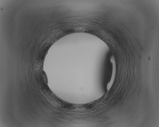 X0000087320601200705181013