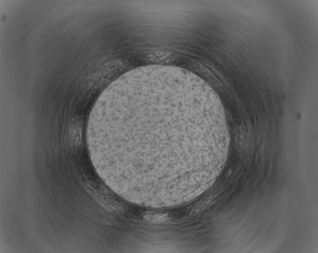 X0000087320602200705181013