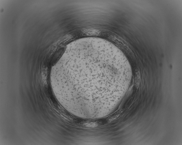 X0000087320604200705181013