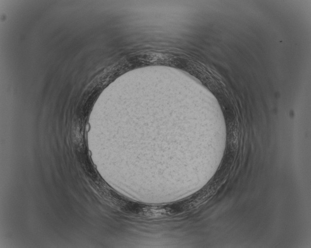 X0000087320607200705181013