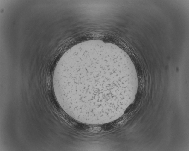 X0000087320609200705181013