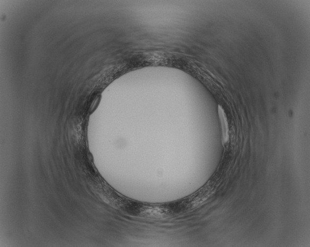 X0000087320611200705181013