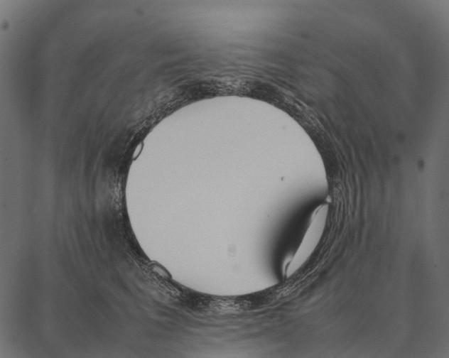 X0000087320613200705181013