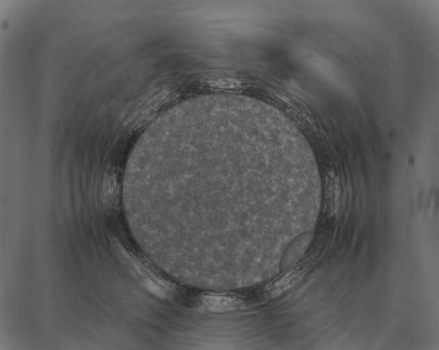 X0000087320614200705181013