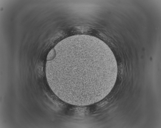 X0000087320615200705181013