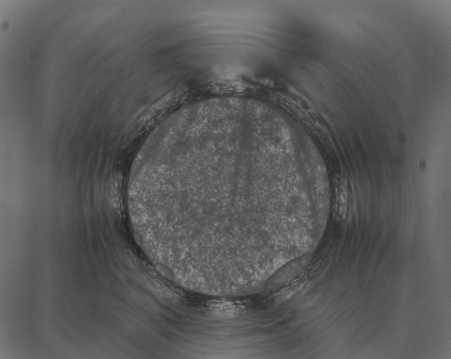 X0000087320616200705181013