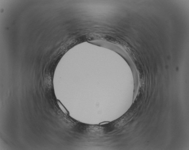 X0000087320617200705181013