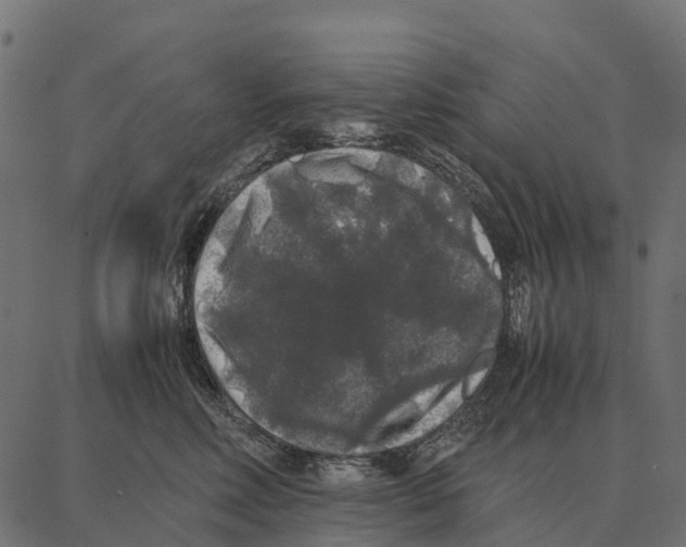 X0000087320618200705181013