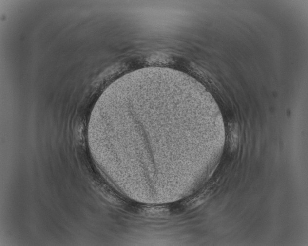 X0000087320619200705181013