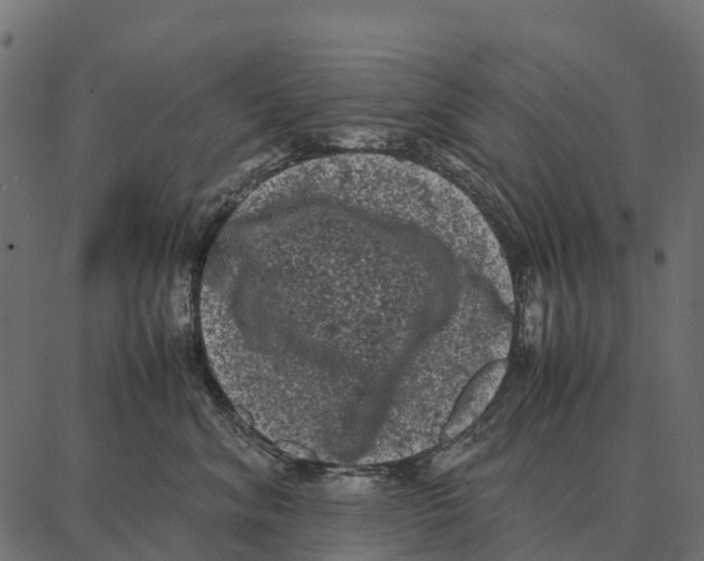 X0000087320620200705181012