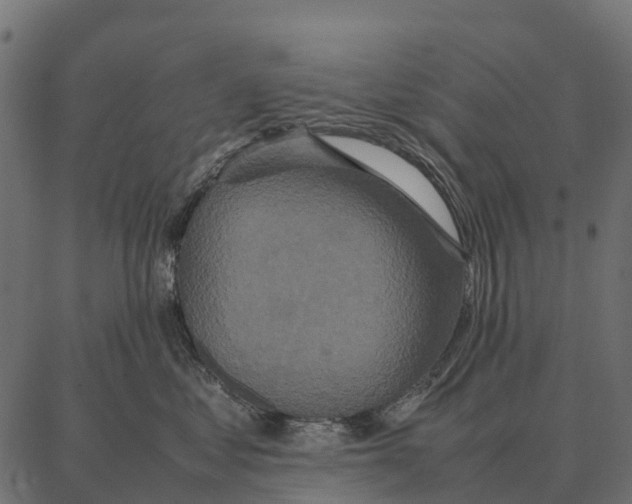 X0000087320621200705181012