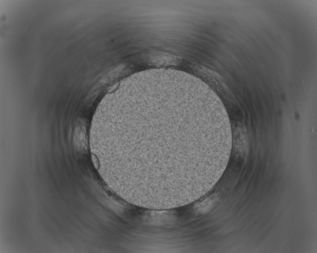 X0000087320622200705181012