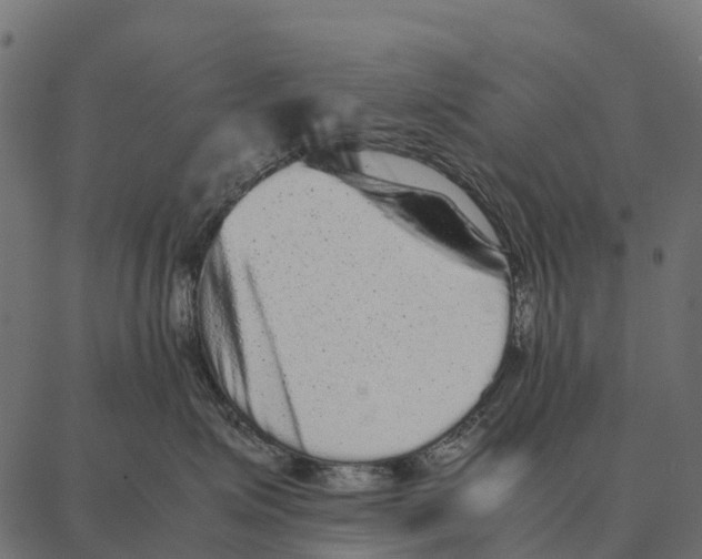 X0000087320623200705181012