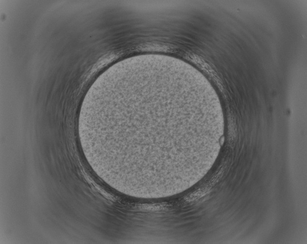 X0000087320625200705181012