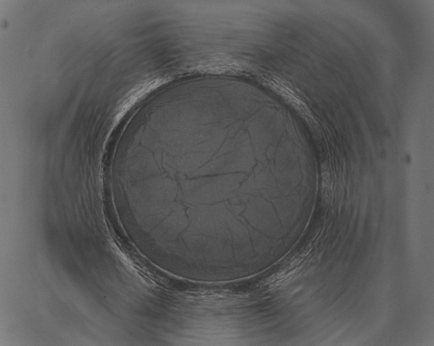 X0000087320626200705181012