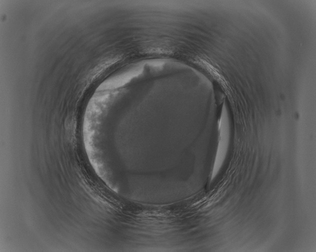 X0000087320627200705181012