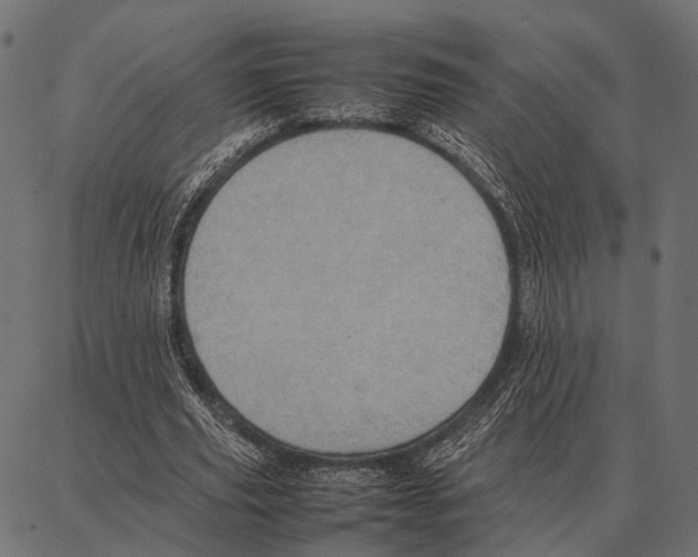 X0000087320629200705181012