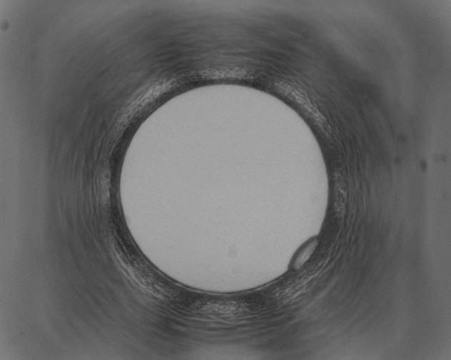 X0000087320631200705181012