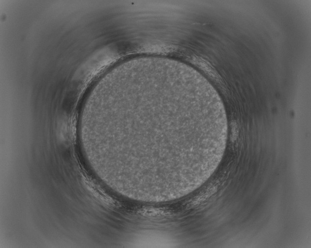 X0000087320632200705181012